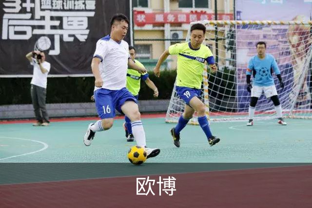 欧博公司简介图片